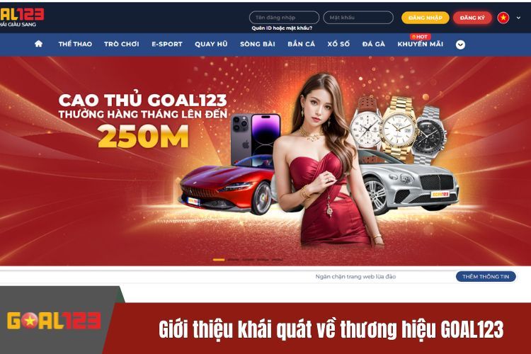 Giới thiệu khái quát về thương hiệu GOAL123