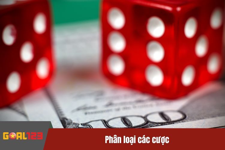 Phân loại các cược